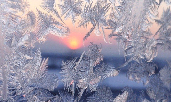 Archives Des Nature A L Ecoute De L Arbre